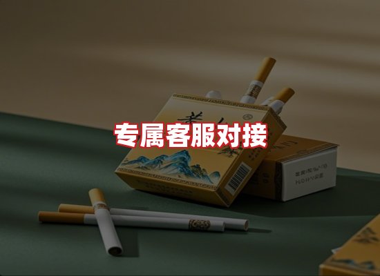 专业团队